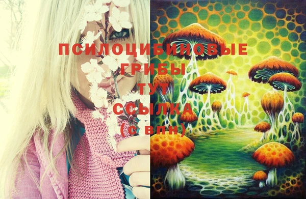 MESCALINE Михайловск