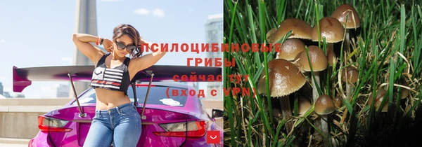 тгк Михайловка