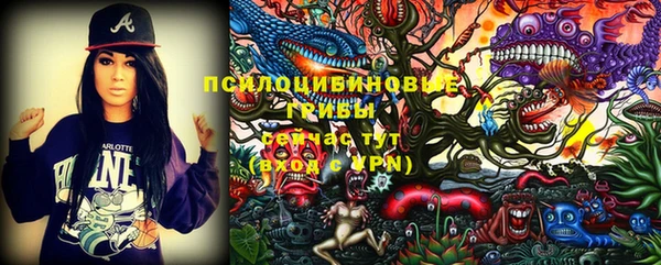 метадон Михайлов