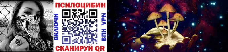 Галлюциногенные грибы Psilocybine cubensis  купить наркотик  Строитель 