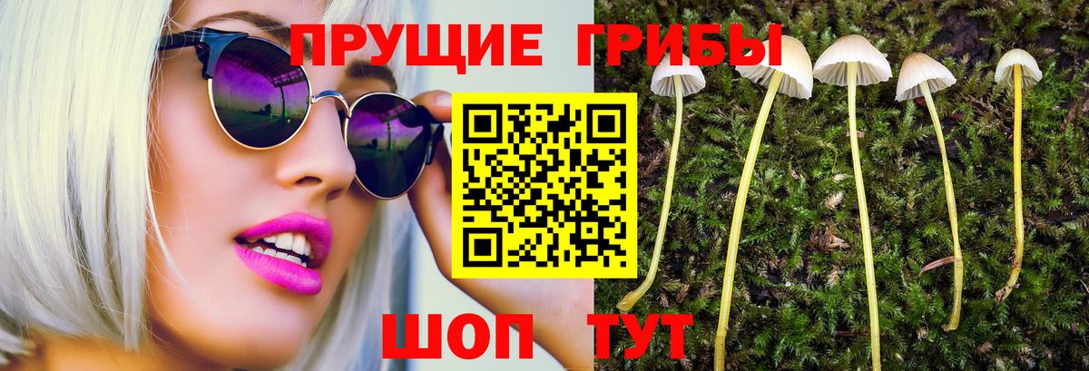 Строитель  Галлюциногенные грибы Psilocybe  Вход с VPN 